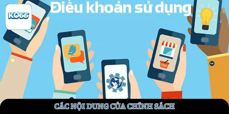 Các nội dung của chính sách