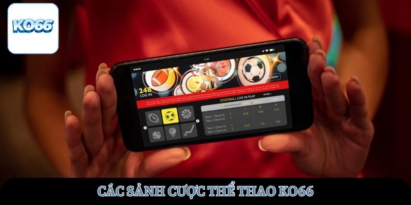 Các sảnh cược thể thao KO66