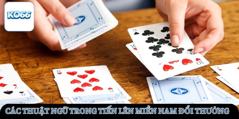 Các thuật ngữ trong tiến lên miền Nam đổi thưởng