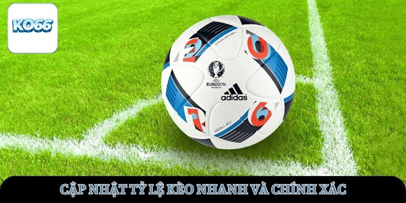 Cập nhật tỷ lệ kèo nhanh và chính xác