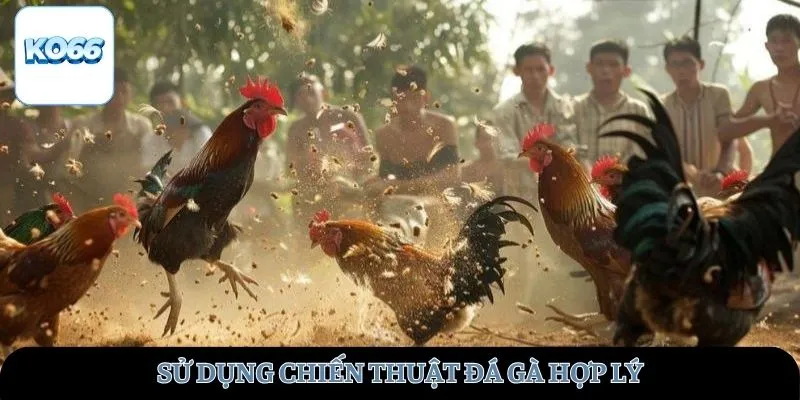Sử dụng chiến thuật đá gà hợp lý