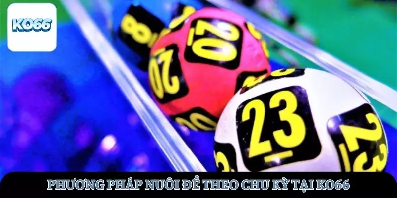 Chiến lược nuôi đề theo chu kỳ hiệu quả