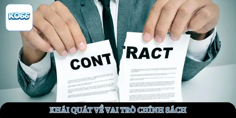 Khái quát về vai trò chính sách
