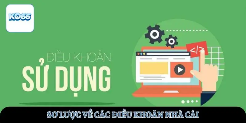 Sơ lược về các điều khoản nhà cái